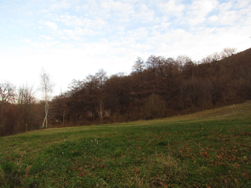 Picture_2 014